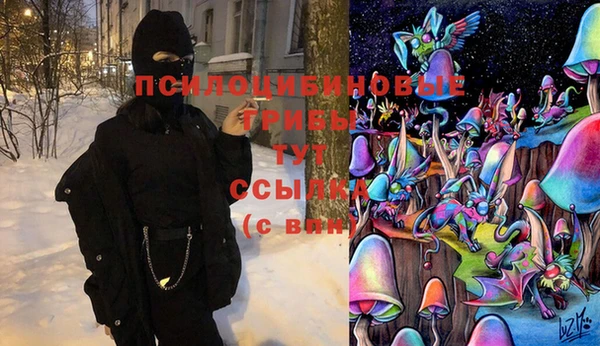 винт Михайловка