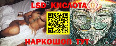 прущие грибы Донской