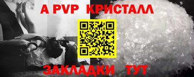 шишки Дубна