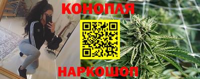 шишки Дубна