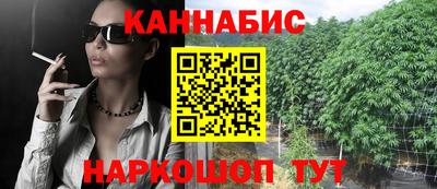 шишки Дубна