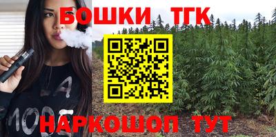 шишки Дубна
