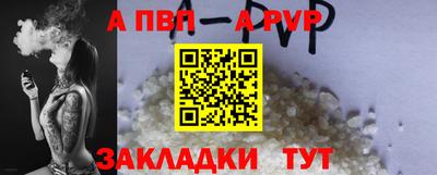 шишки Дубна
