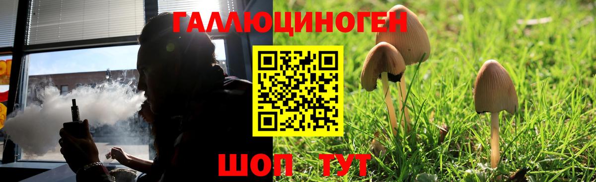 Кемерово  Галлюциногенные грибы Cubensis  Вход с VPN 