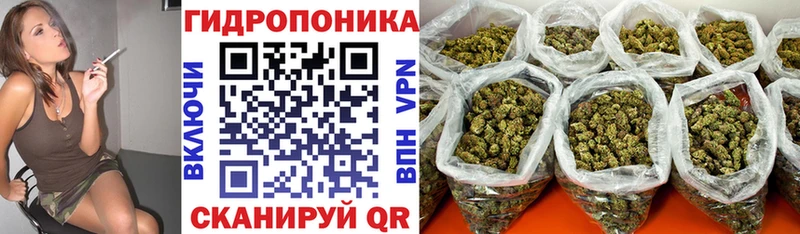 Каннабис MAZAR Кемерово