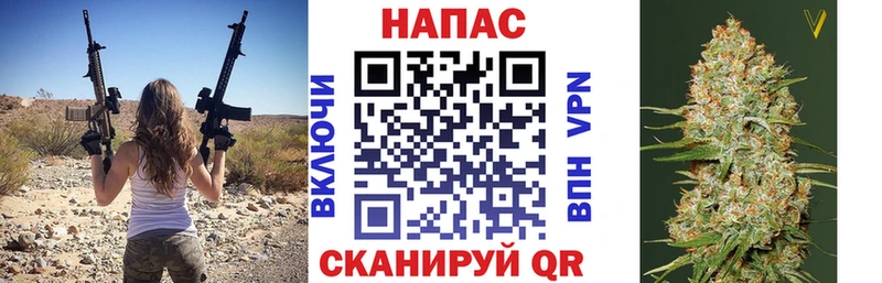 что такое   Кемерово  Канабис сатива 
